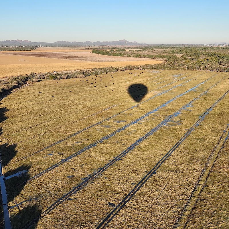 Tucson Balloon Rides photo 4