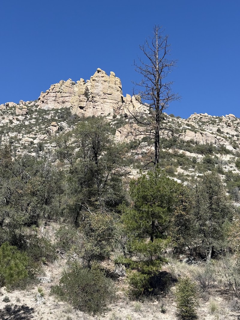 Photo of Middle Bear Picnic Area