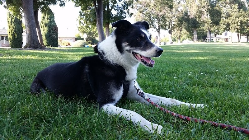 Three Oaks Park photo 3