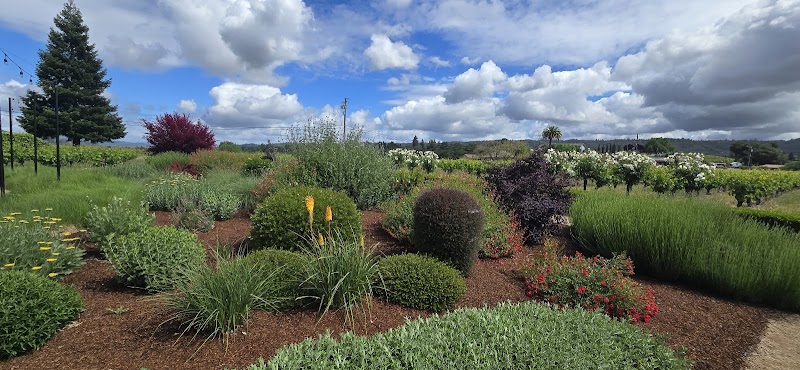 Photo of Insectary Garden