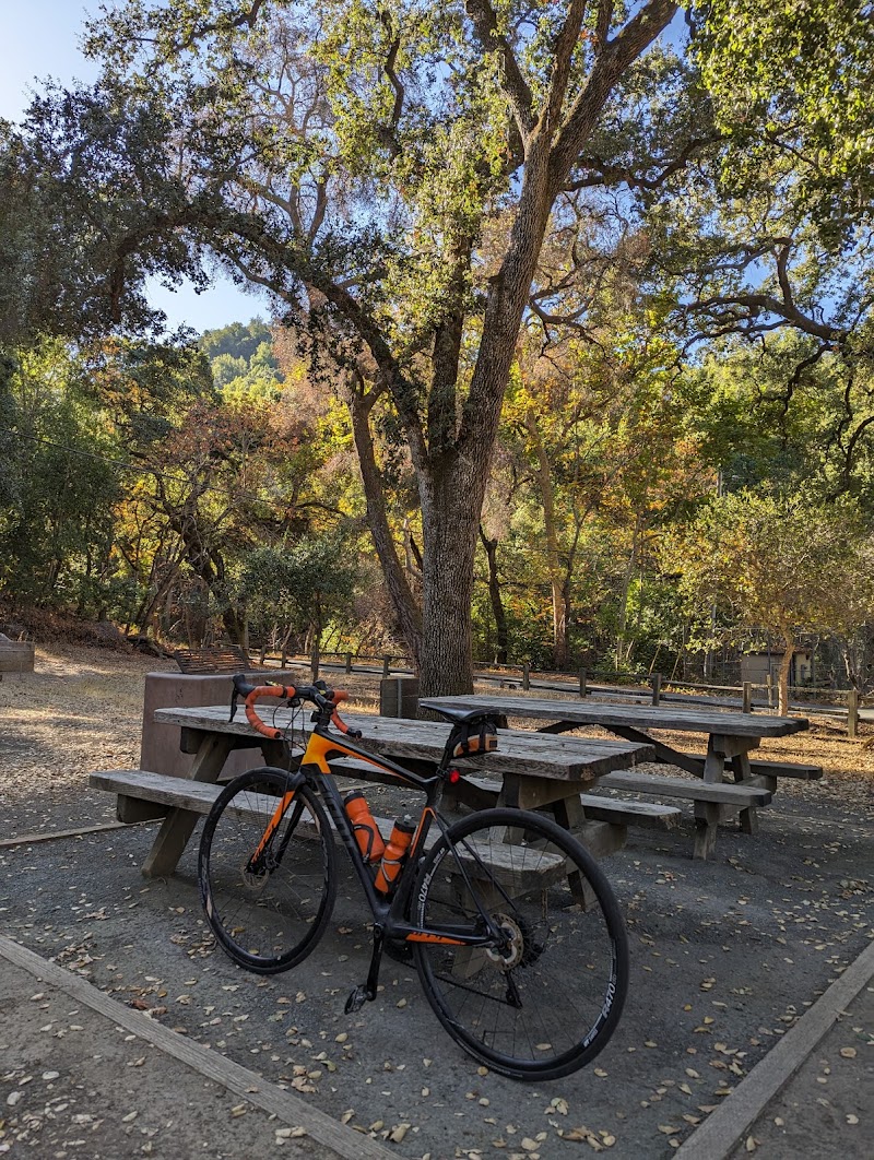 Canyon Picnic Area photo 3