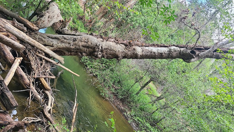 Canyon Picnic Area photo 4