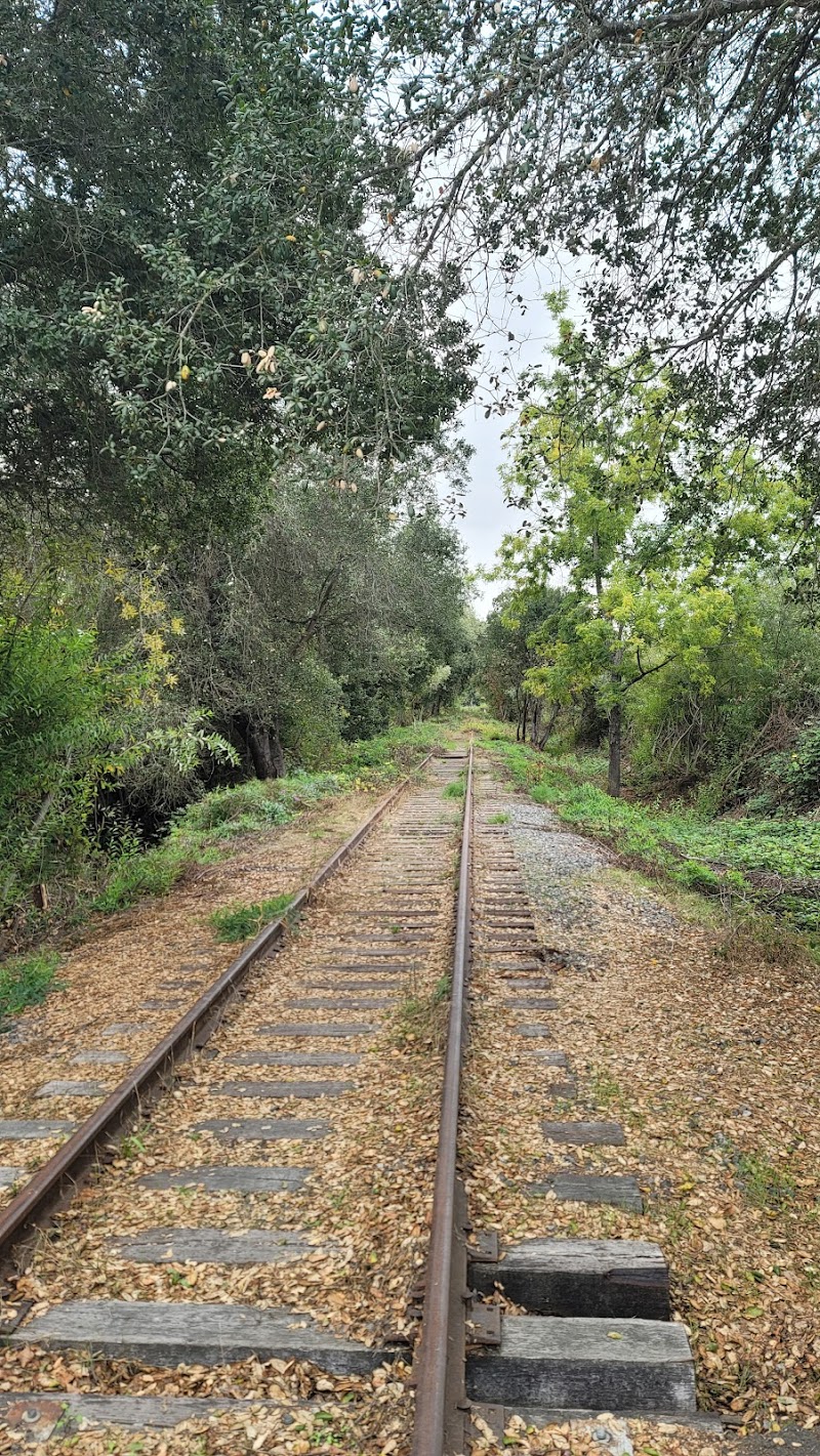 Photo of Foss Creek Parkway