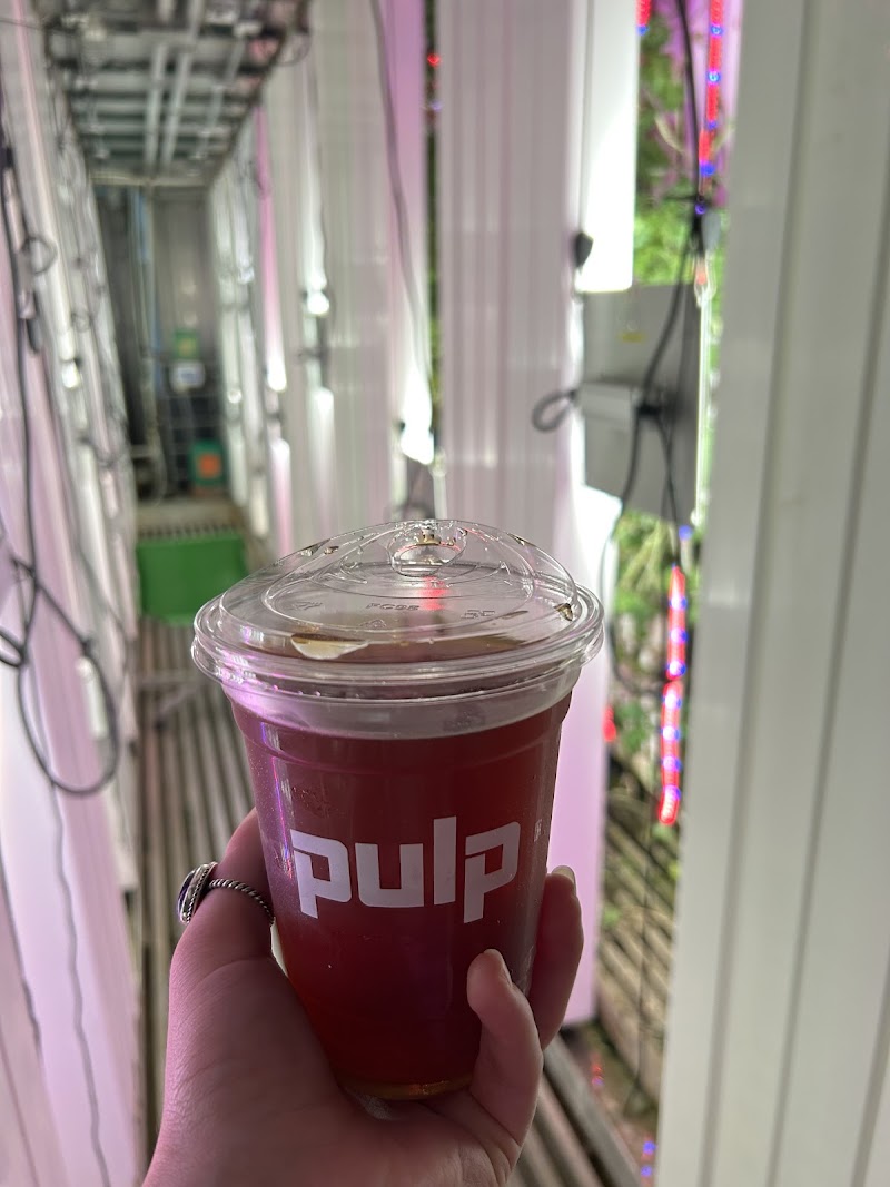 Pulp Coffee Roasters photo 5