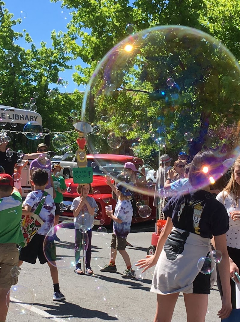 Fairfax Festival photo 2