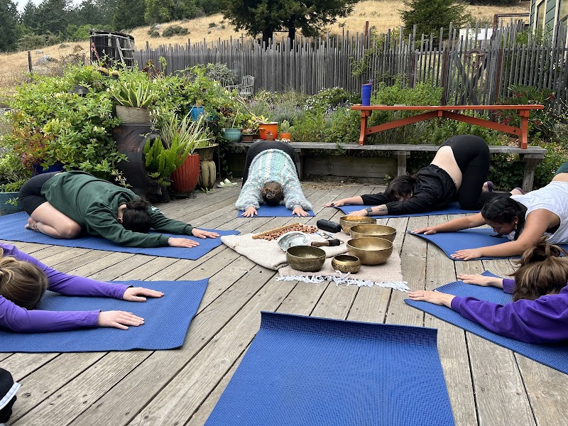 VINITA YOGA photo 3