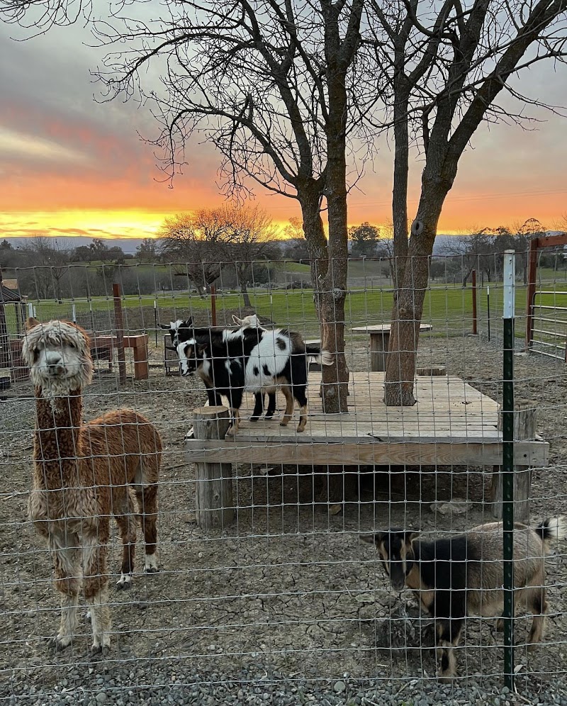 Acacia Ranch photo 2