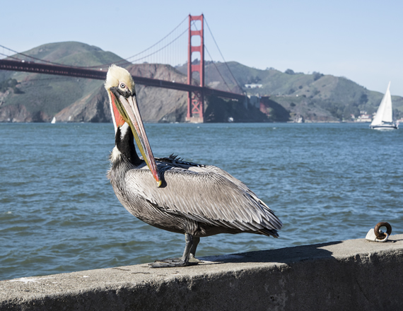 Baykeeper photo 4
