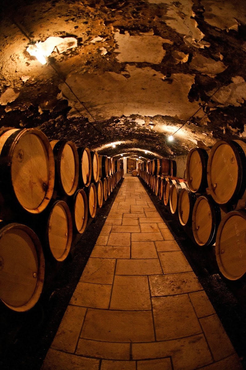 Photo of Schug Winery