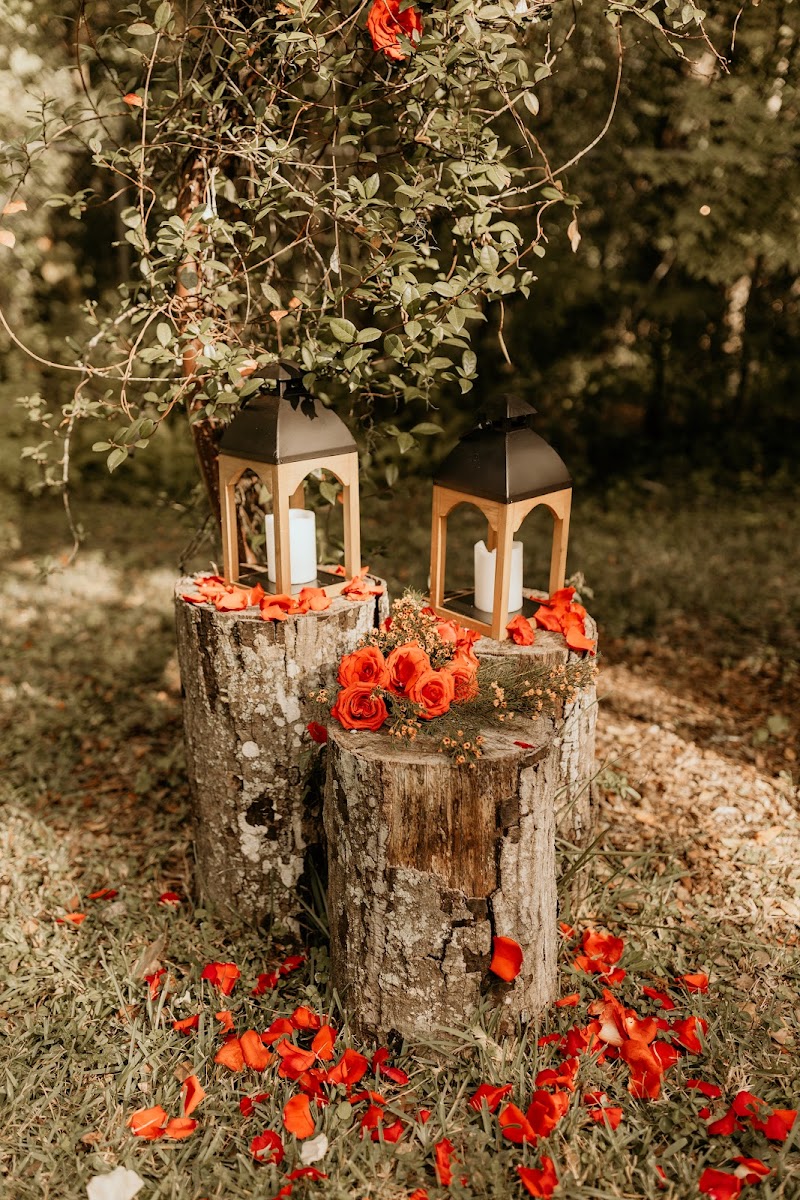 The Boho Wedding Venue photo 4