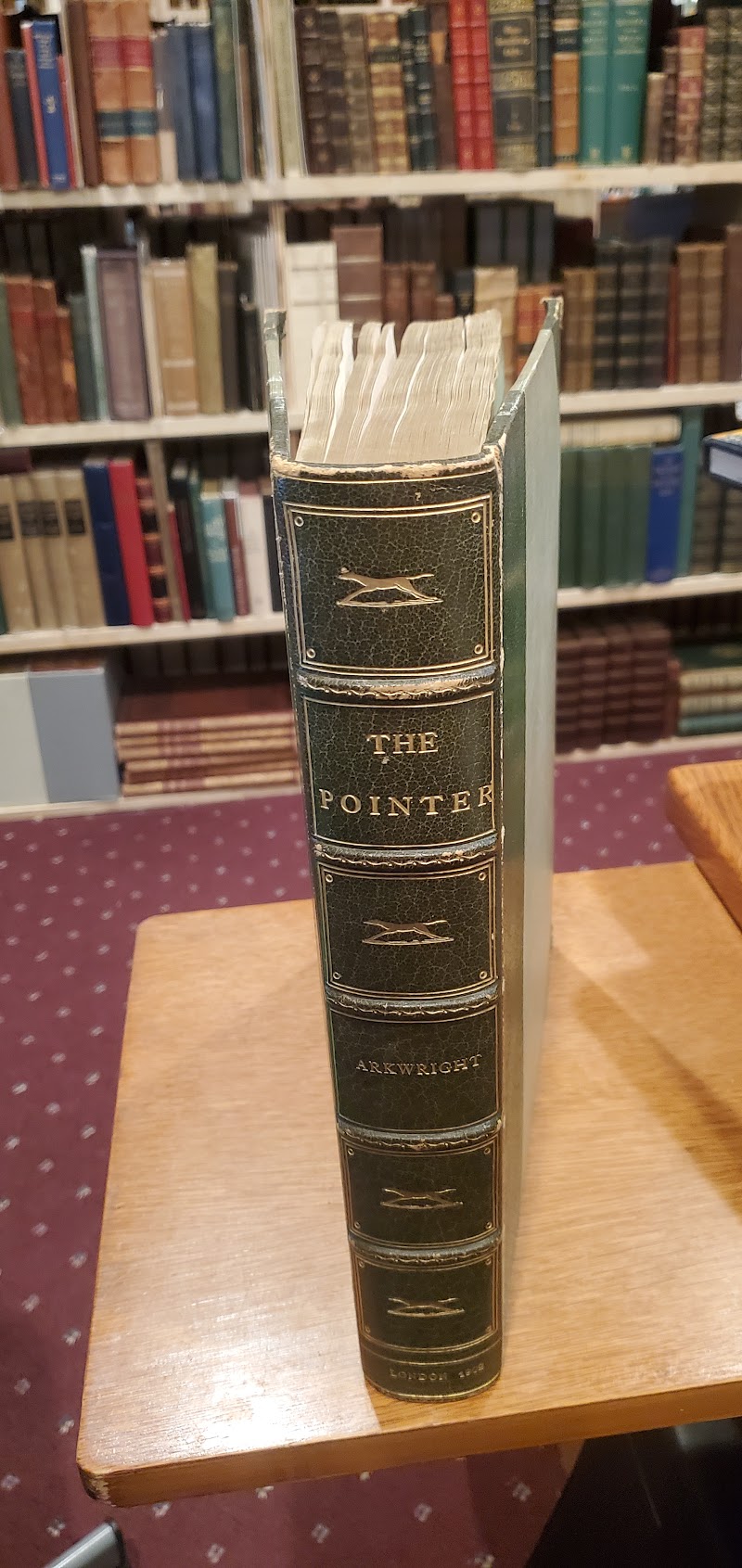 Lighthouse Books, ABAA | Rare books | Florida photo 5