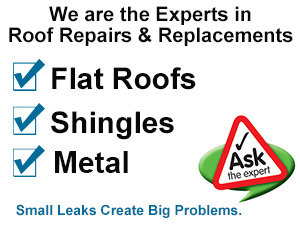 Tampa Roof Pros photo 5