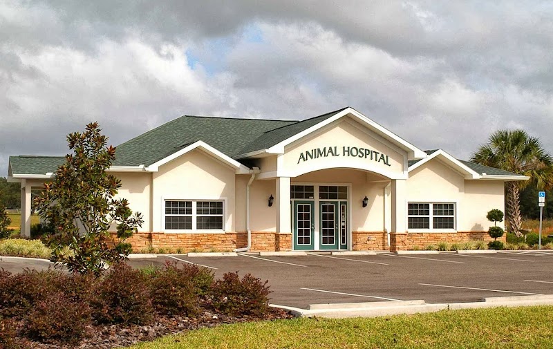 Photo of San Antonio Animal Hospital