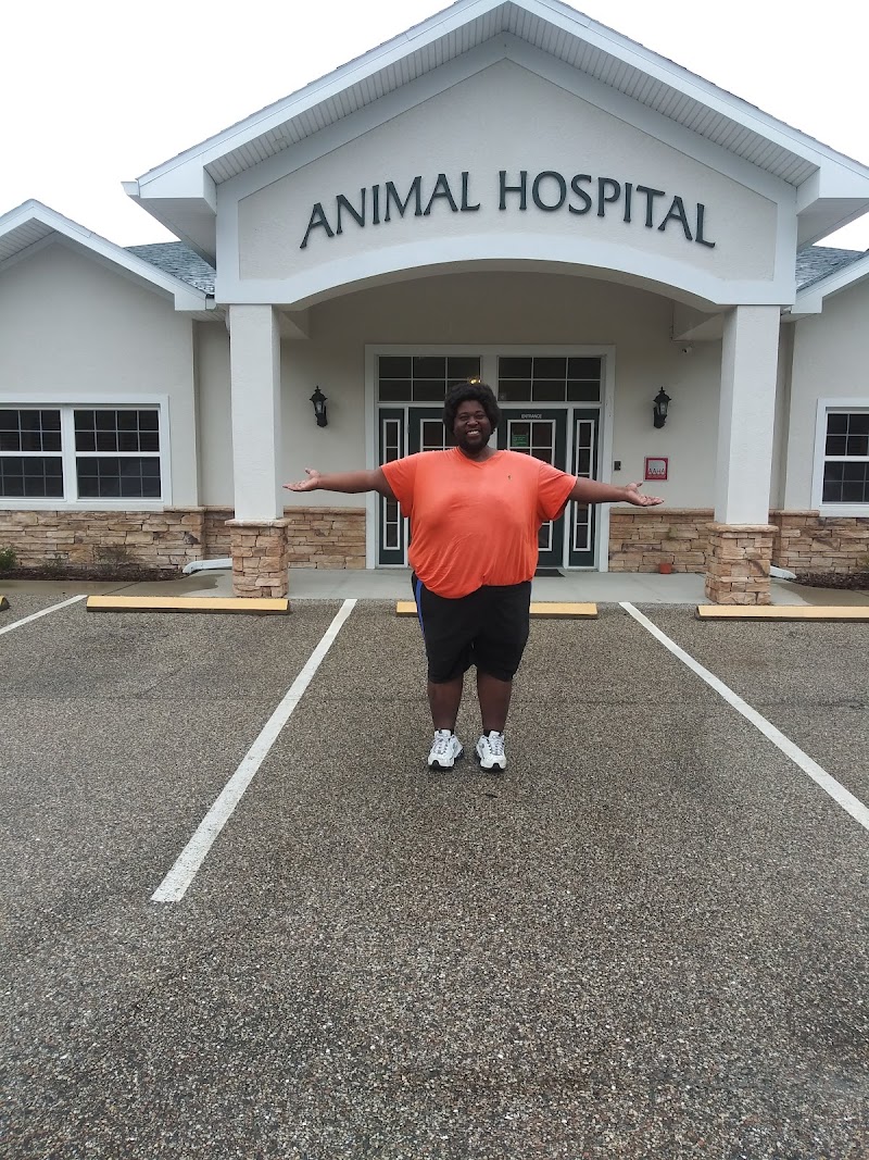 San Antonio Animal Hospital photo 3