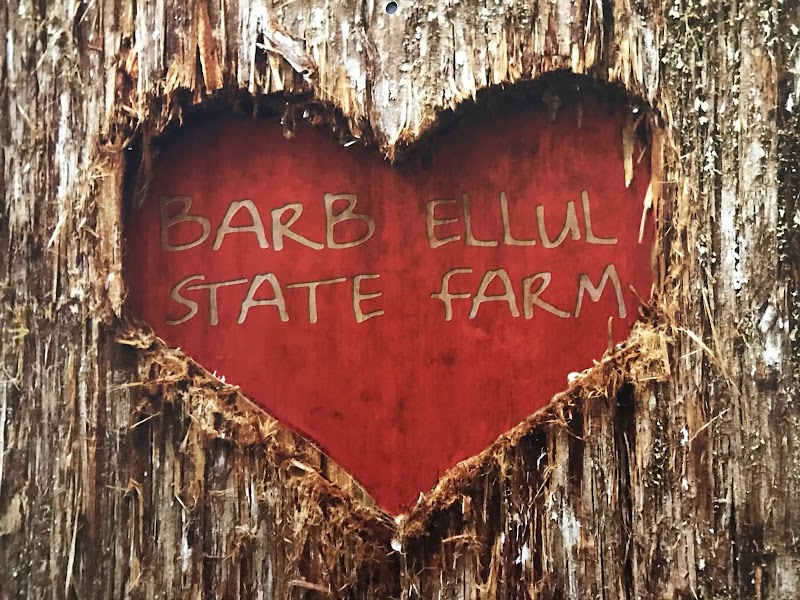 Barb Ellul - State Farm Insurance Agent photo 4