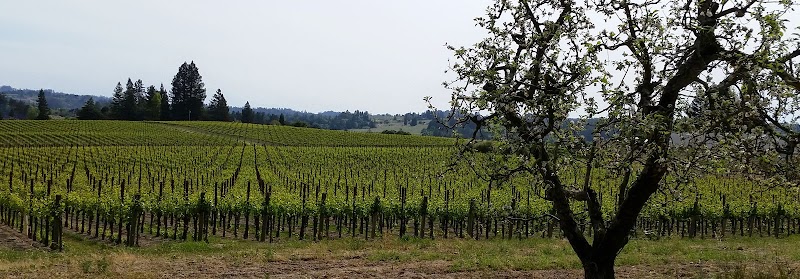Photo of Berkshire Hathaway HS Sonoma County Properties