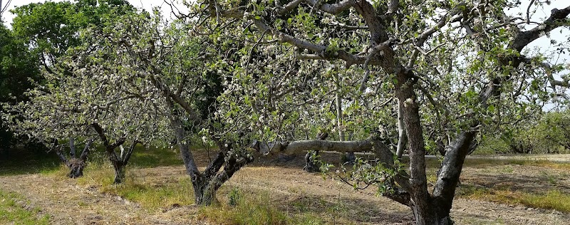 Berkshire Hathaway HS Sonoma County Properties photo 5