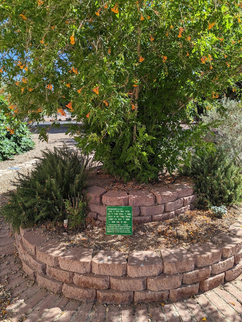 Temple Beth Shalom of the West Valley photo 4