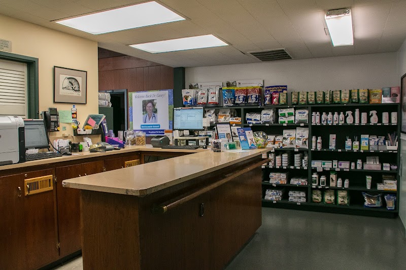 VCA Madera Pet Hospital photo 2