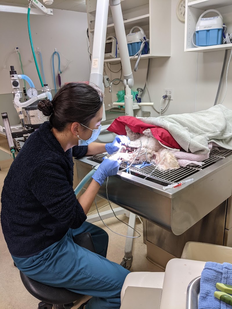 VCA Madera Pet Hospital photo 4