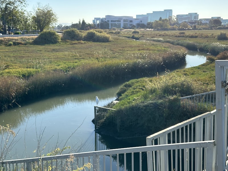 West O’Neill Slough photo 5