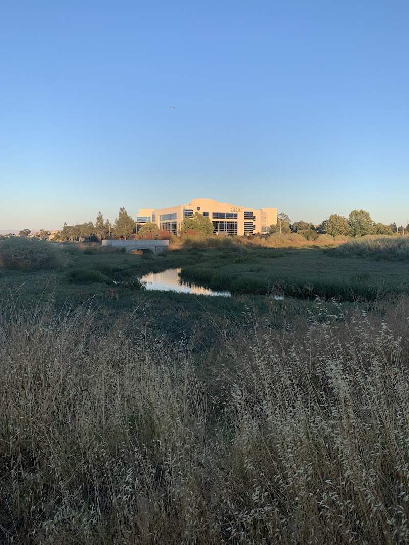 Photo of West O’Neill Slough