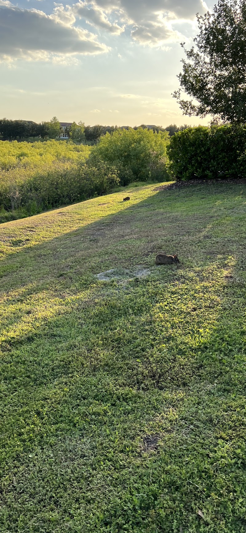 Gonzalez Pond photo 2