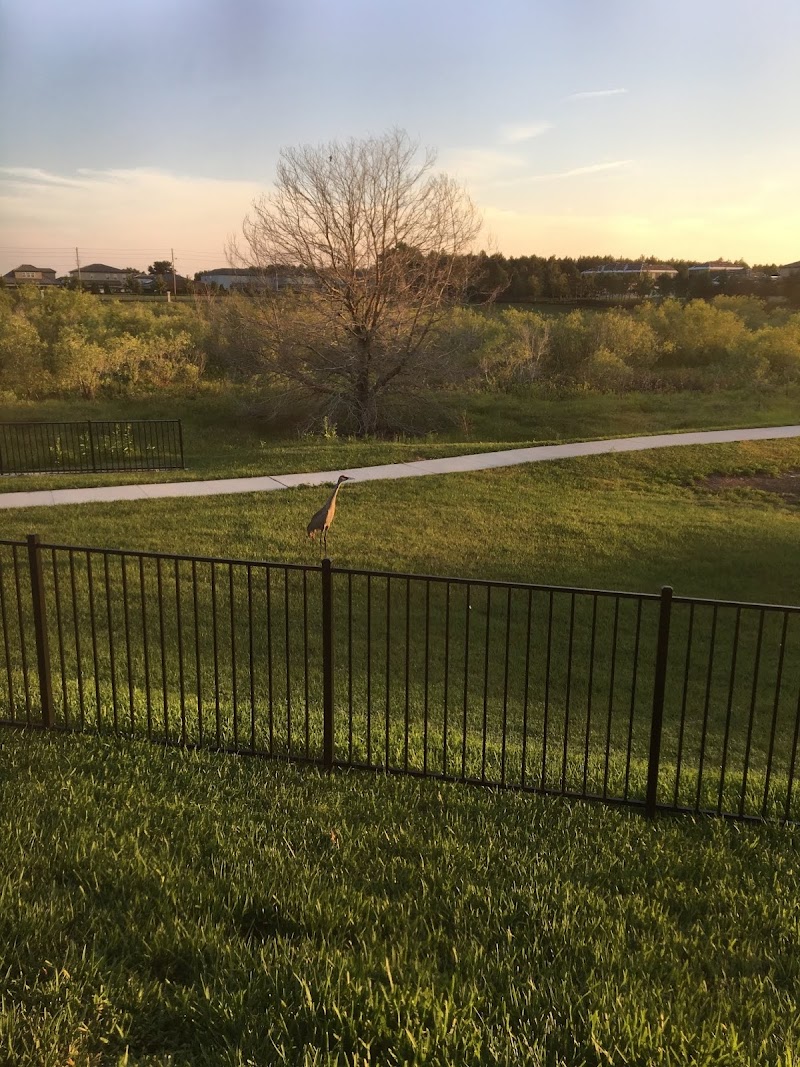 Gonzalez Pond photo 3