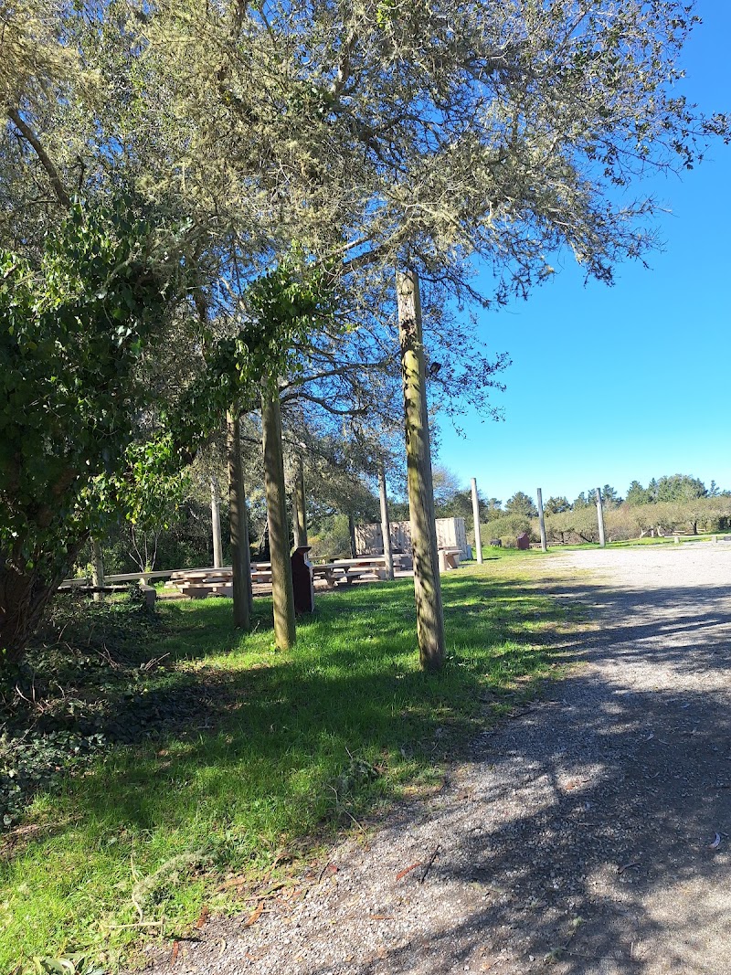 Photo of Old Guadalupe Ridge Trail