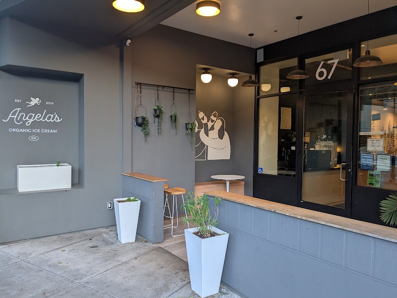 Photo of Angela's Organic Ice Cream