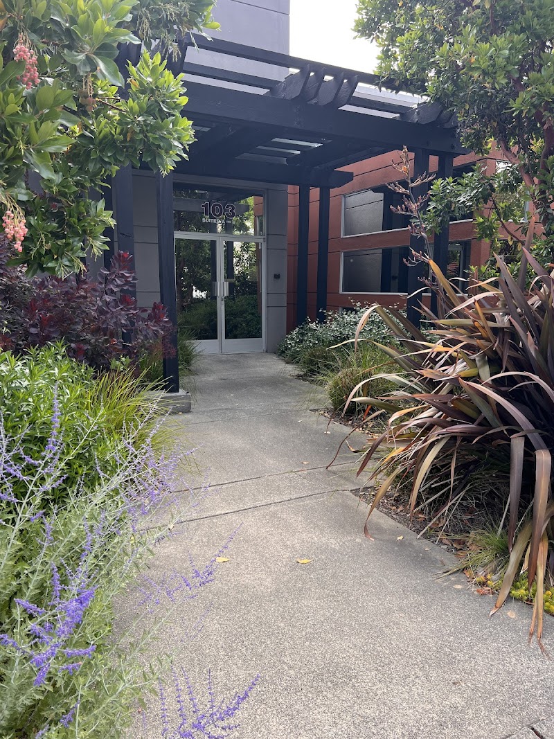 Holistic Ally | Massage + Bodycare photo 2