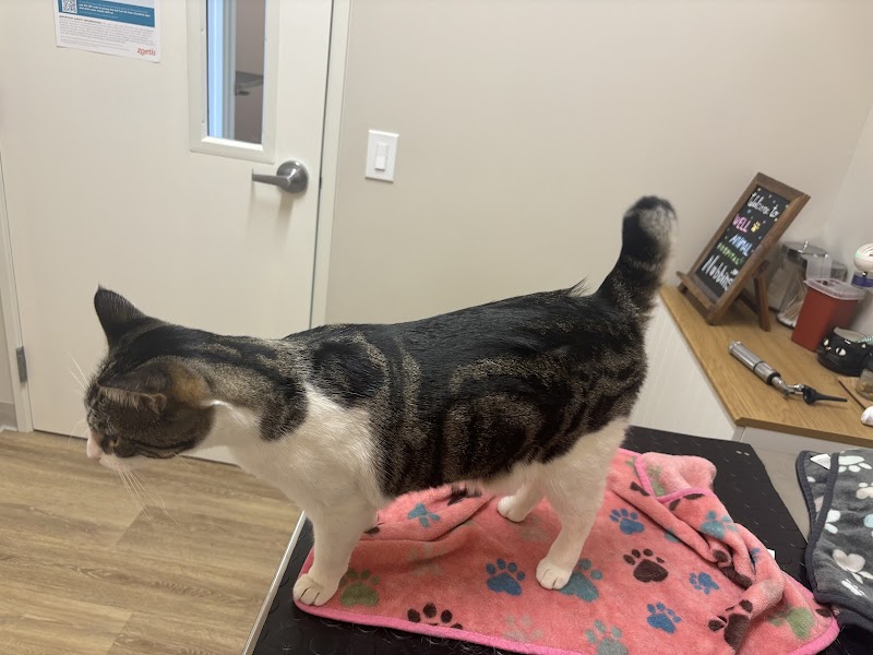 Well Animal Hospital photo 5