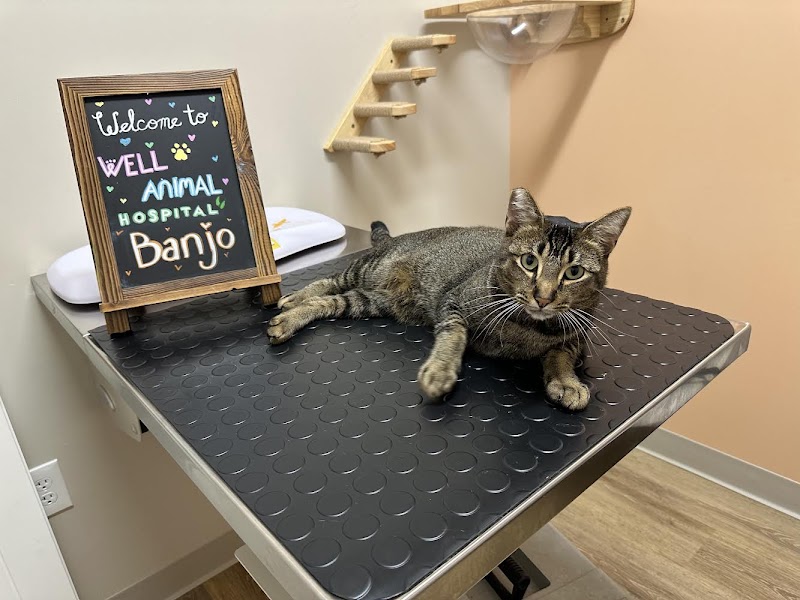 Well Animal Hospital photo 3