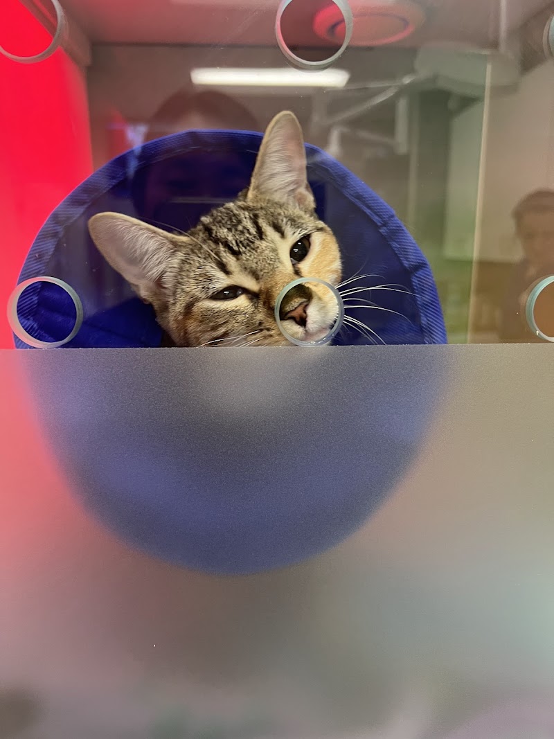 Well Animal Hospital photo 4