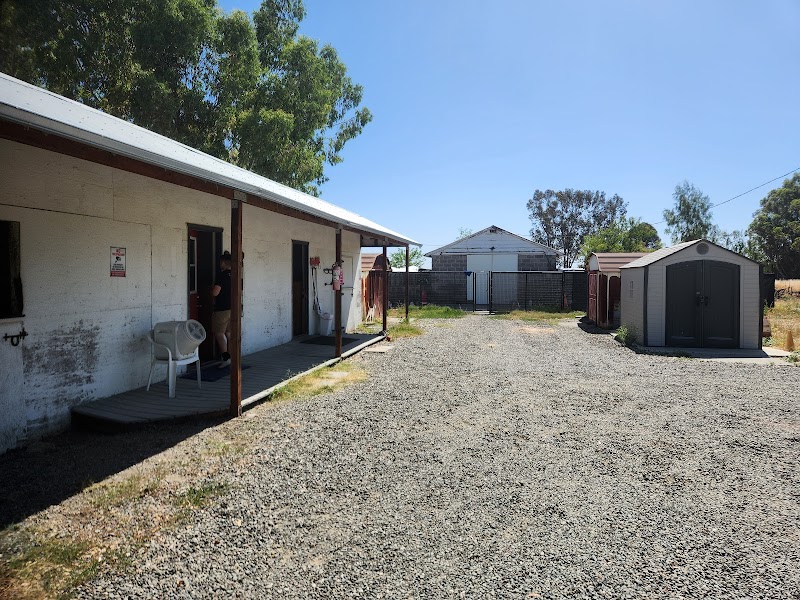Blue Ridge Kennels photo 3