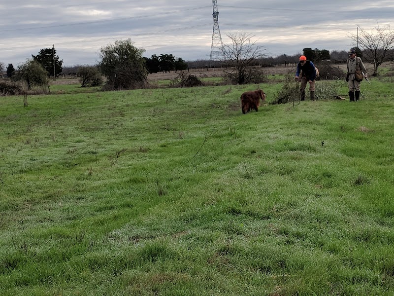 Blue Ridge Kennels photo 4