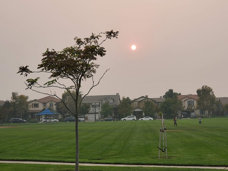 Magnolia Park photo 4