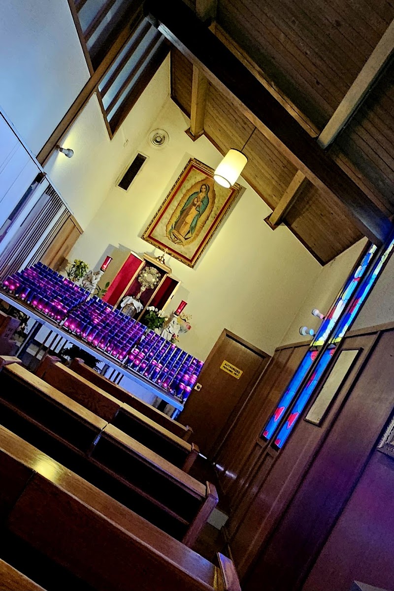 Saint Bruno Catholic Church photo 5