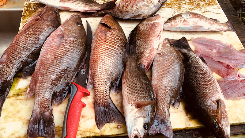 Slay The Bay Fishing Charters photo 3