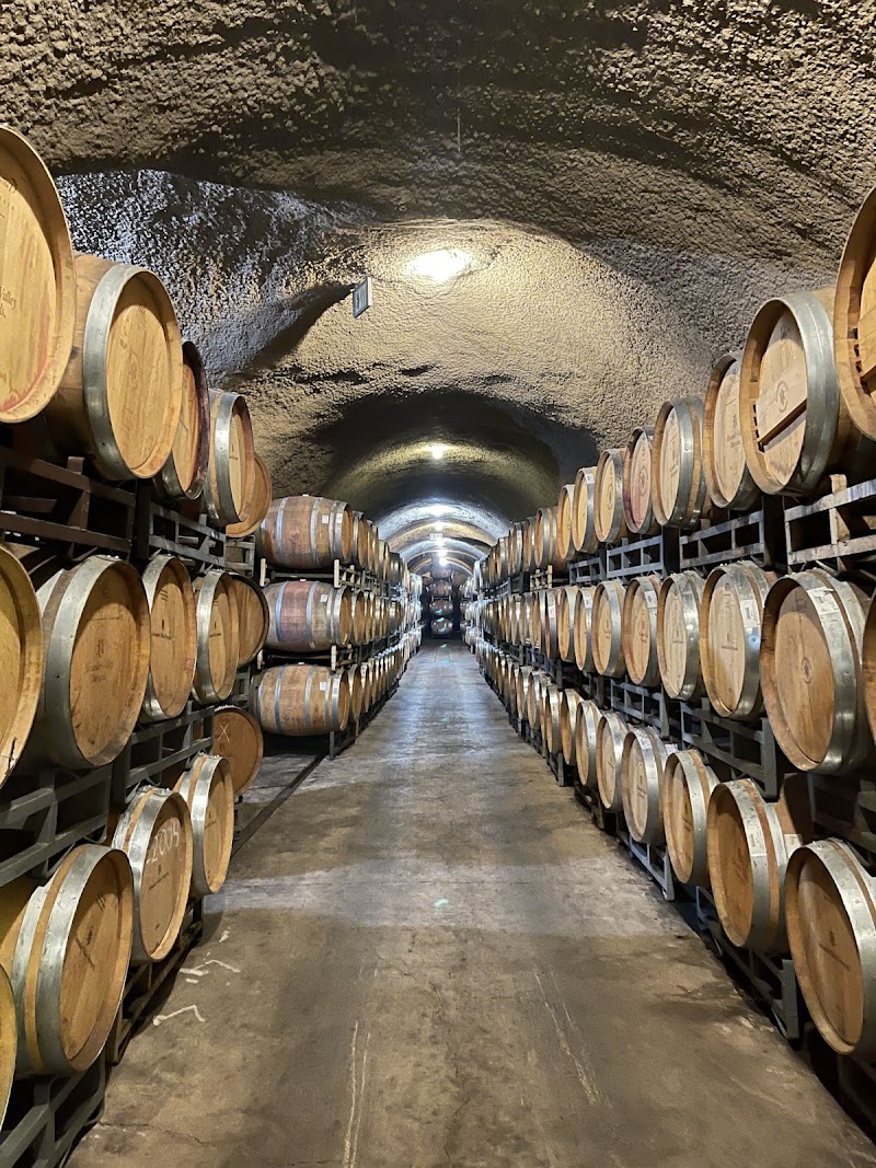 Alexander Valley Vineyards photo 2