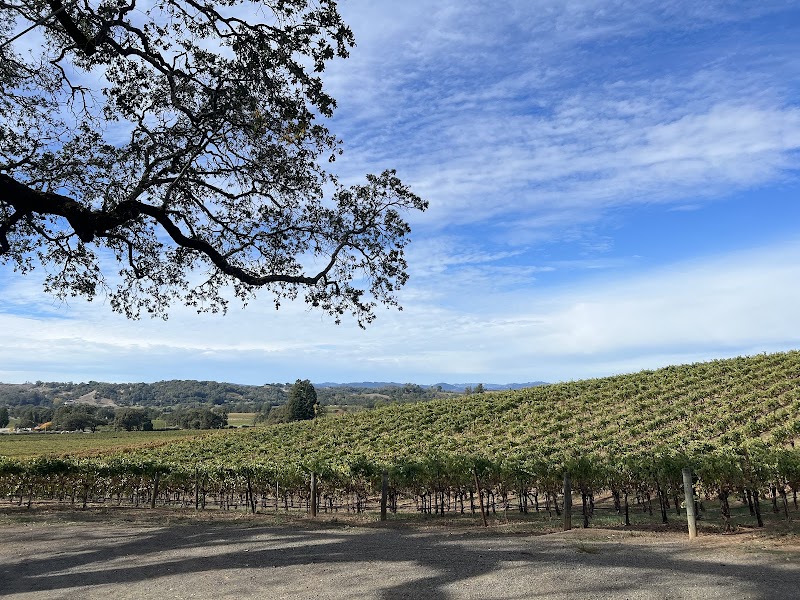 Alexander Valley Vineyards photo 3