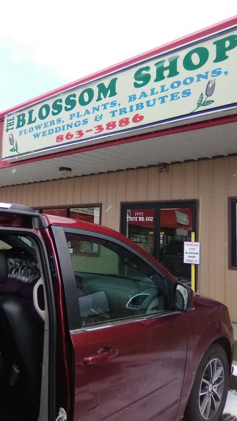 Photo of The Blossom Shop