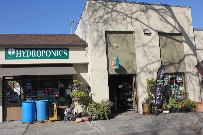 Photo of The Lucky Garden Dublin Hydroponics