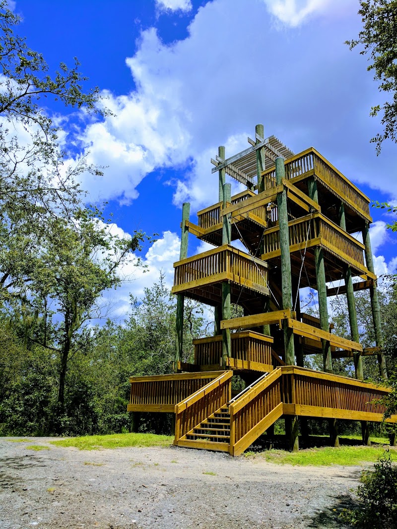 Green Swamp Wildlife Management Area - Cumpressco Unit photo 5
