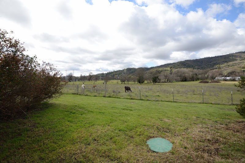 Fox Hill Farm photo 3