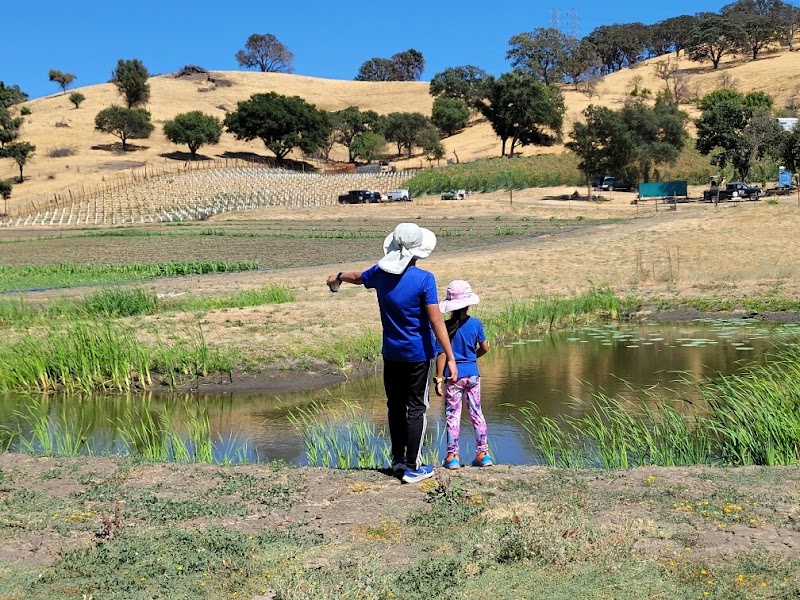Fox Hill Farm photo 5