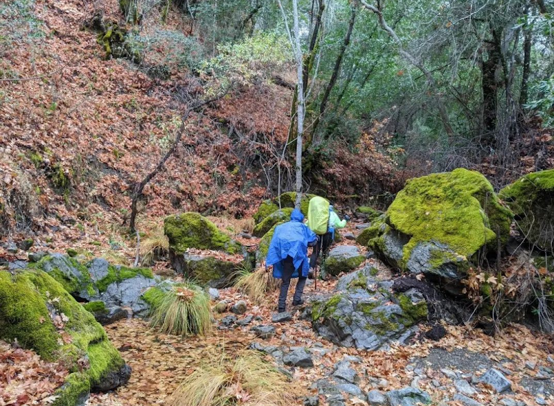 Photo of Willow Ridge Trail Camp