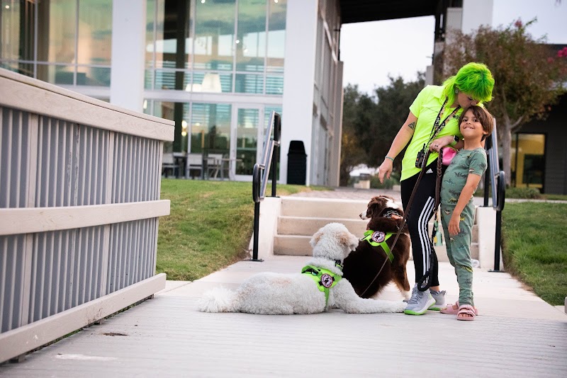 Woof Happens photo 4