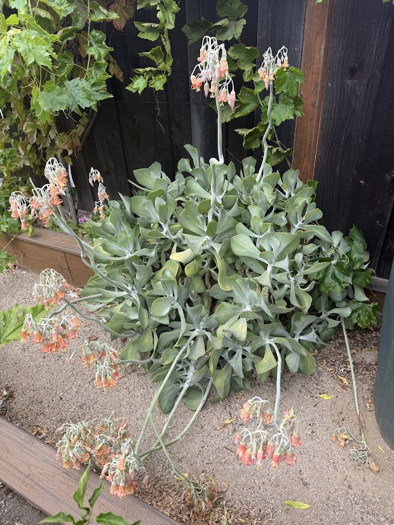 Debbie Adamo - REALTOR photo 5
