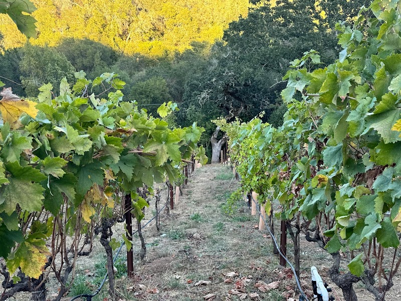 Barboshi Farms photo 2